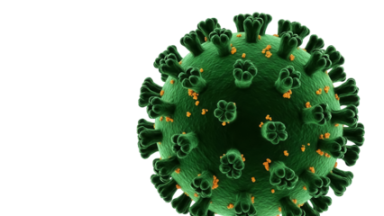 Green coronavirus virion isolated PNG, detailed microscopic view of infectious virus particle for medical and scientific use on transparent background