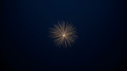 Fototapeta premium New fireworks on the nevy blue background, new sparkle fireworks 