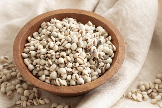 ハトムギ　はと麦　鳩麦　ヨクイニン　薏苡仁