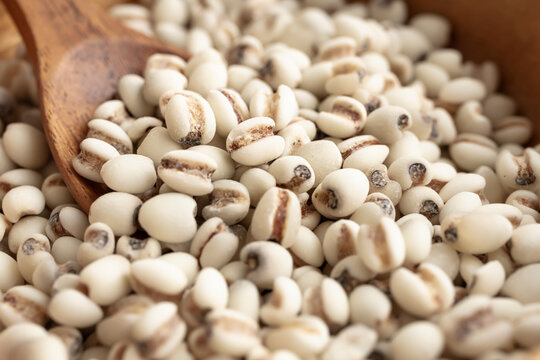 ハトムギ　はと麦　鳩麦　ヨクイニン　薏苡仁