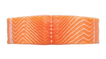 Fresh raw salmon fillet isolated PNG on transparent background, healthy omega-3 rich fish for cooking and culinary use