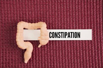 Miniature icon of human intestines and paper with the word Constipation. What are common intestinal...