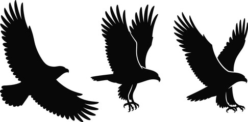 Obraz premium Three Detailed Black Silhouettes of Eagles in Various States of Flight and Landing with Wings Fully Extended, Isolated on a White Background.