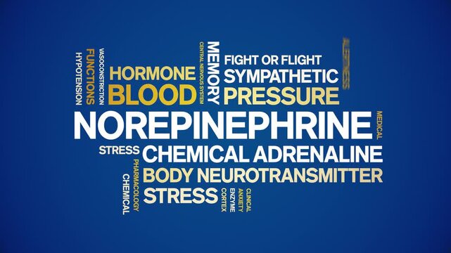 Norepinephrine animated word cloud-text design animation tag kinetic typography seamless loop.