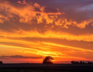 Vivid sunset paints the sky, illuminating a lone tree on a flat expanse with streaks of color