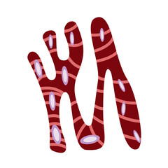 Muscle Cell Illustration