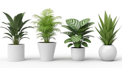 Fototapeta premium A collection of four distinct potted green houseplants with lush foliage displayed in white planters against a clean white background showcasing