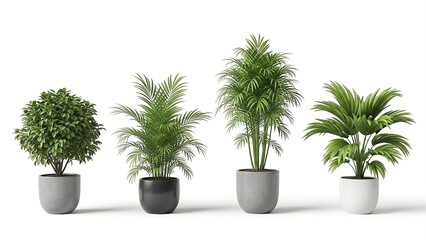 Fototapeta premium A curated assortment of four green potted houseplants, featuring a dense bush, a palm, and two other leafy varieties, are placed in grey and black