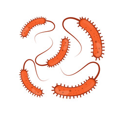 Vibrio Cholerae Illustration