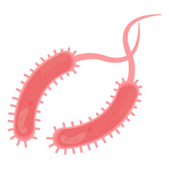 Vibrio Cholerae Illustration