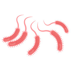Vibrio Cholerae Illustration