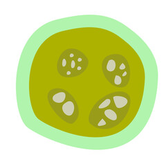 Human Parasites Coccidia Illustration. Vector Illustration of a Human Intestinal Parasites