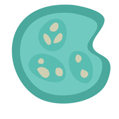 Human Parasites Coccidia Illustration. Vector Illustration of a Human Intestinal Parasites