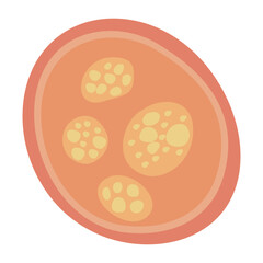 Human Parasites Coccidia Illustration. Vector Illustration of a Human Intestinal Parasites