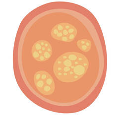 Human Parasites Coccidia Illustration. Vector Illustration of a Human Intestinal Parasites