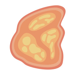 Human Parasites Coccidia Illustration. Vector Illustration of a Human Intestinal Parasites