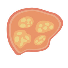 Human Parasites Coccidia Illustration. Vector Illustration of a Human Intestinal Parasites