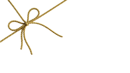 Elegant golden rope bow on black background with ample copy space for design.