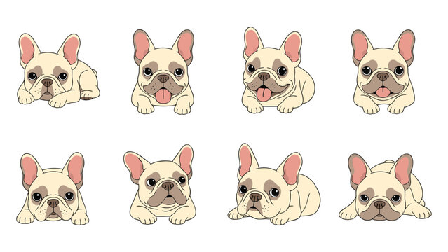 Illustrations of French bulldogs with various facial expressions in a pet care lifestyle setting