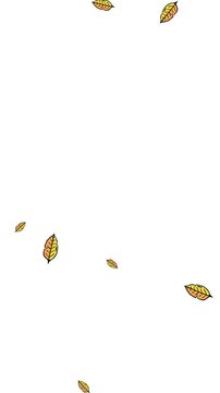 animation of plants and falling leaves	