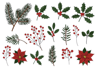 a collection of minimalist doodle christmas botanicals, including pine branches, holly berries, and poinsettia flowers, colored red and green, isolated on a bright white background, vector asset set