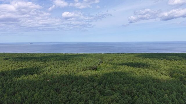 Beautiful scenery of Baltic Sea beach in Sobieszewo at summer , Poland