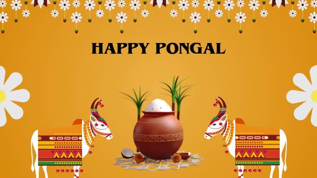 Happy Pongal White and Yellow 3D Pongal Festival Greeting Video