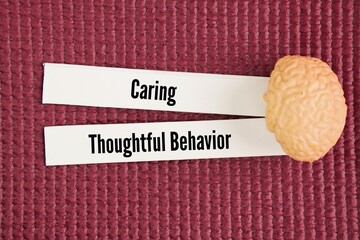 Miniature human brain and paper with the words caring and thoughtful behavior. What is type 2 behavior? people-oriented individuals invested in the feelings and needs of others