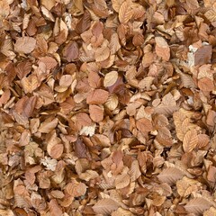 High-Resolution Seamless Autumn Leaves Background Texture