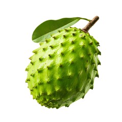 Soursop fruit with vibrant green spiky skin and an attached leaf, showcasing its distinctive tropical texture and natural freshness.