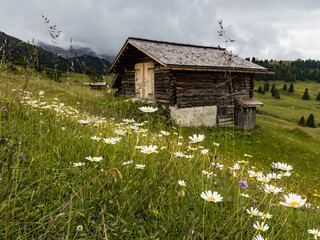 Mountain cabin on the Seiser Alm in the Dolomites, South Tyrol, Italy.