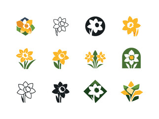 Daffodil Logo Variations. birth flowers. Icon set. Set Logo of birth flowers: daffodil (March). harmonious logo variations of the same emblematic concept, each