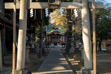 柴又八幡神社の参道　東京葛飾区