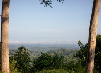 Scenic Green Hills Landscape Framed by Two Trees Under Blue Sky