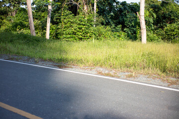 Asphalt Road Beside Lush Green Tropical Forest in Countryside