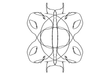 Intricate symmetrical design with interconnected lines and shapes