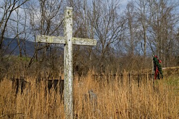 Weathered Wooden Cross Covered in Lichen in Cemetery Field