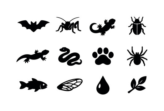 Subterranean Wildlife Icons. Subterranean wildlife. Solid icon set of Subterranean wildlife: bat, cave cricket, salamander, beetle, lizard, snake silhouette,