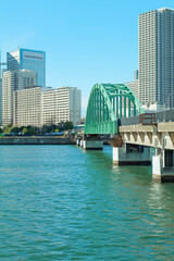 遊歩道となった豊洲「晴海橋梁 (旧晴海鉄道橋) 」　2025年12月