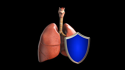 Human Lungs Protected by Shield for Immunity and Health Protection Concept