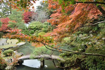 秋色に染まる相阿弥の庭　青蓮院(京都市東山区)