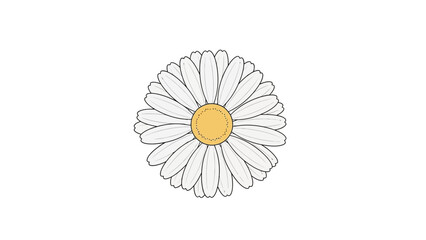 Cute Daisy Flower Illustration on White Background
