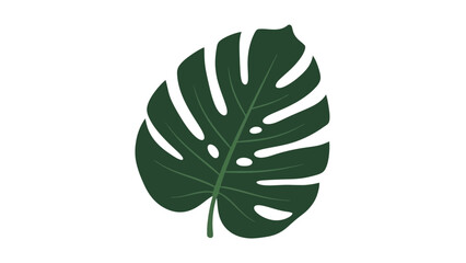 Minimal Green Monstera Leaf Illustration