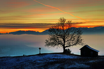 Sonnenuntergang - Allg&auml;u - winterlich - magisch - Baum - Stadel - Alpen - malerisch