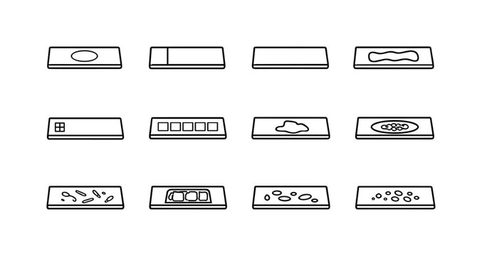 Microscope Slide Icons. Types of Microscope Slides. Line icon set of Types of Microscope Slides: concave slide, frosted-end slide, standard slide, adhesive