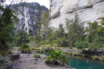 Tropical Forest with Palm Trees and Turquoise River in Rocky Canyon Landscape
