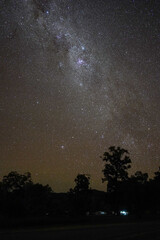 Starry Night Sky with Milky Way Over Silhouetted Trees in Remote Natural Landscape
