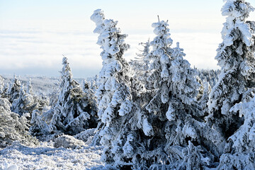 Winter auf dem Brocken
