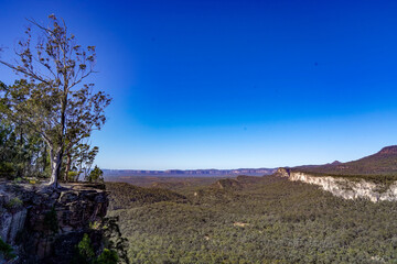 Scenic View of Australian Bushland from Rocky Cliff Edge under Clear Blue Sky