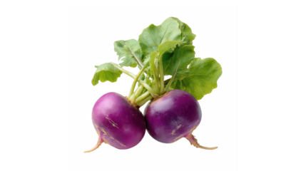 Two purple top turnips with green leaves on a black background